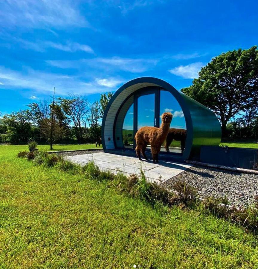 Black Knowe, Luxury Glamping Pods, Ballycastle Hotel Exterior photo